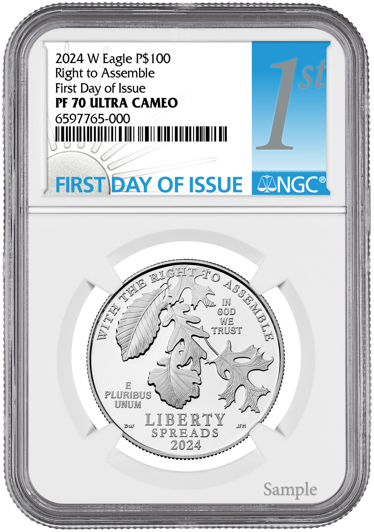 2024-W $100 One-Ounce Platinum Eagle Right to Assemble FDI NGC