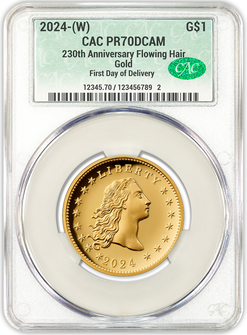2024-W 230th Anniversary Flowing Hair Gold Dollar AD CAC PR70