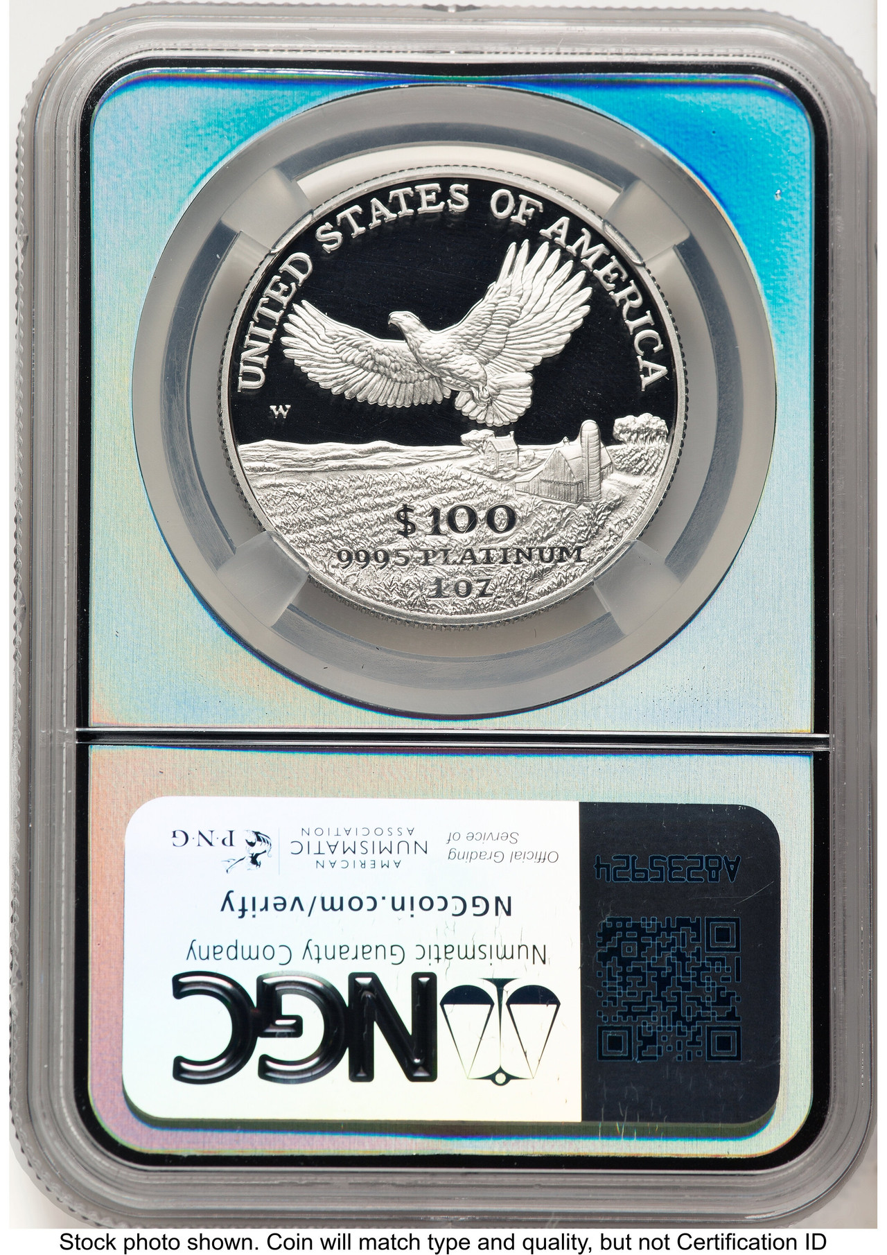 2000-W Proof Platinum Eagle 1 oz Vault Box Series X Silver Core