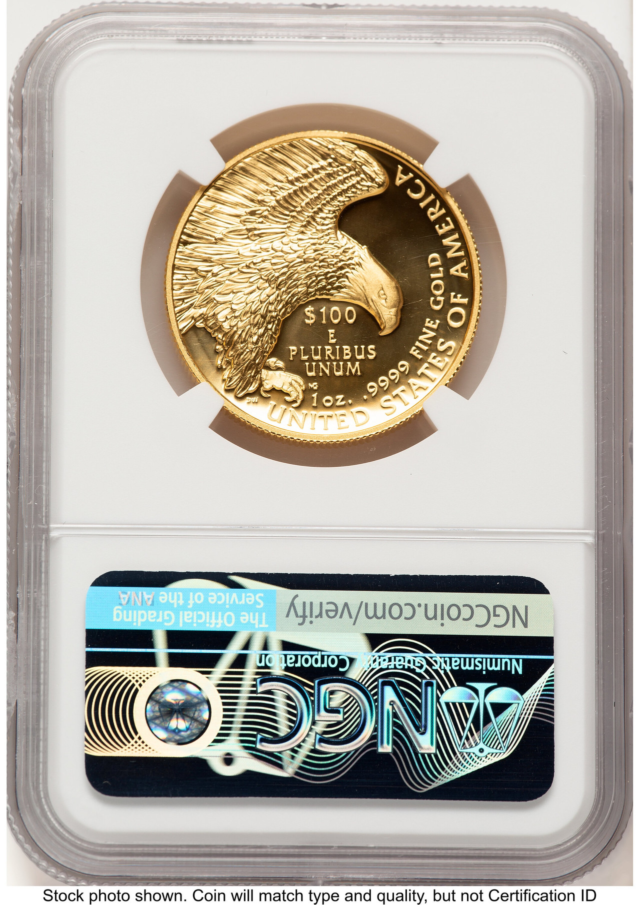2019-W G$100 American Liberty High Relief Enhanced FDI Mike Castle
