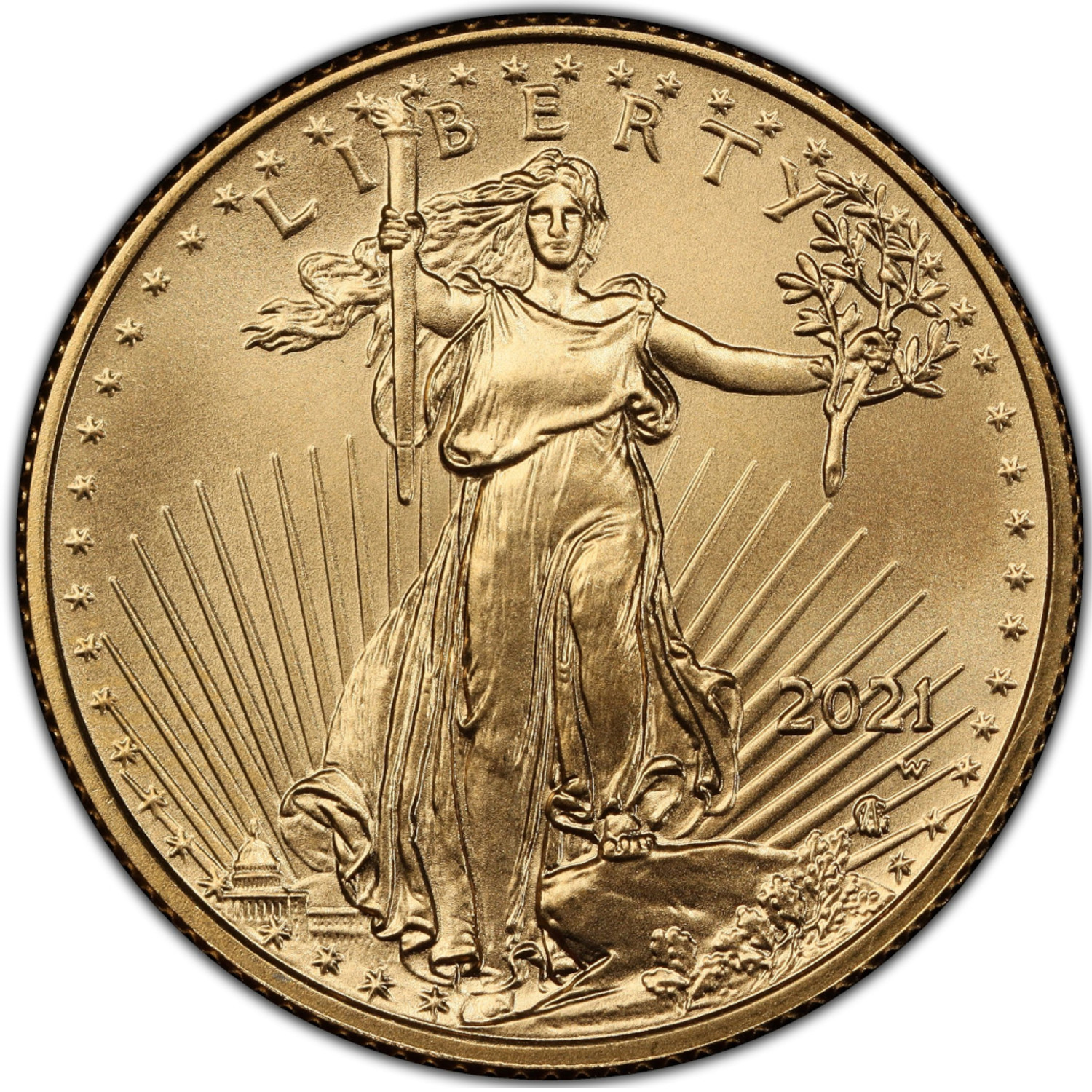 2021-W $10 Gold Eagle Type 2 Unfinished Proof Dies PCGS MS70 | LCR