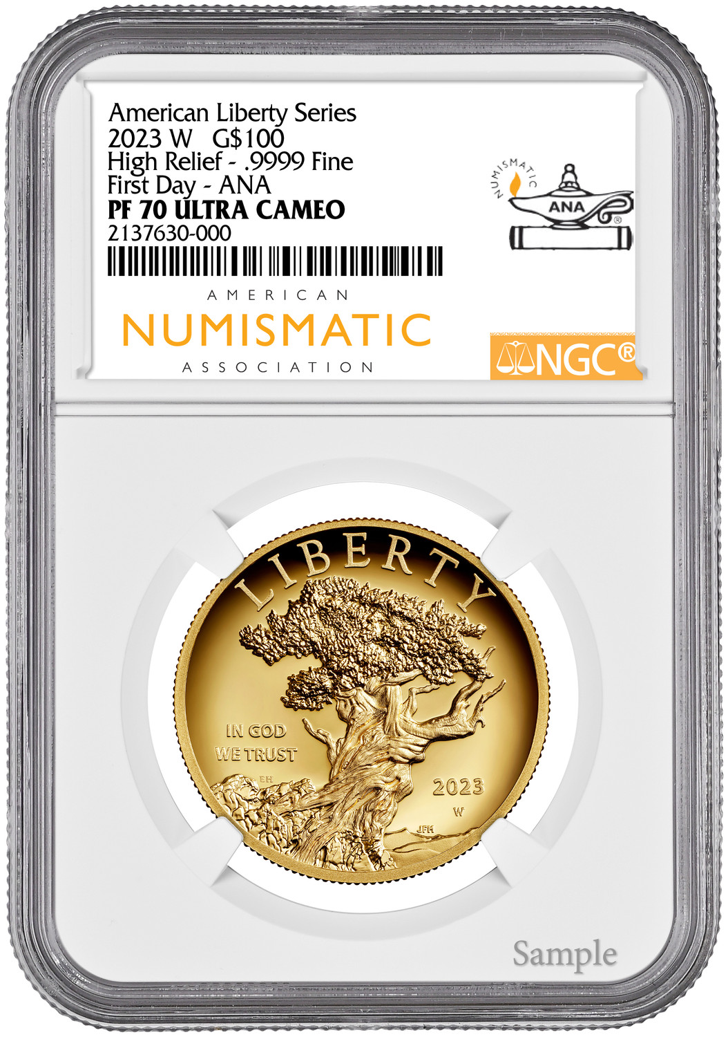 2023-W $100 American Liberty Series High Relief Fine ANA NGC PF70