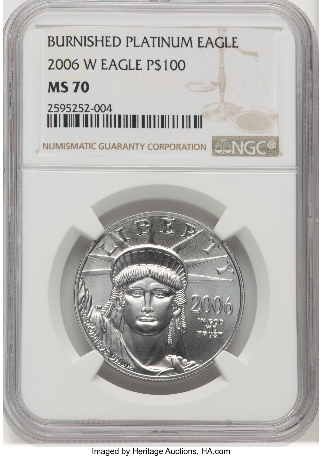2006-W $100 One-Ounce Platinum Eagle Burnished NGC MS70 - LCR Coin