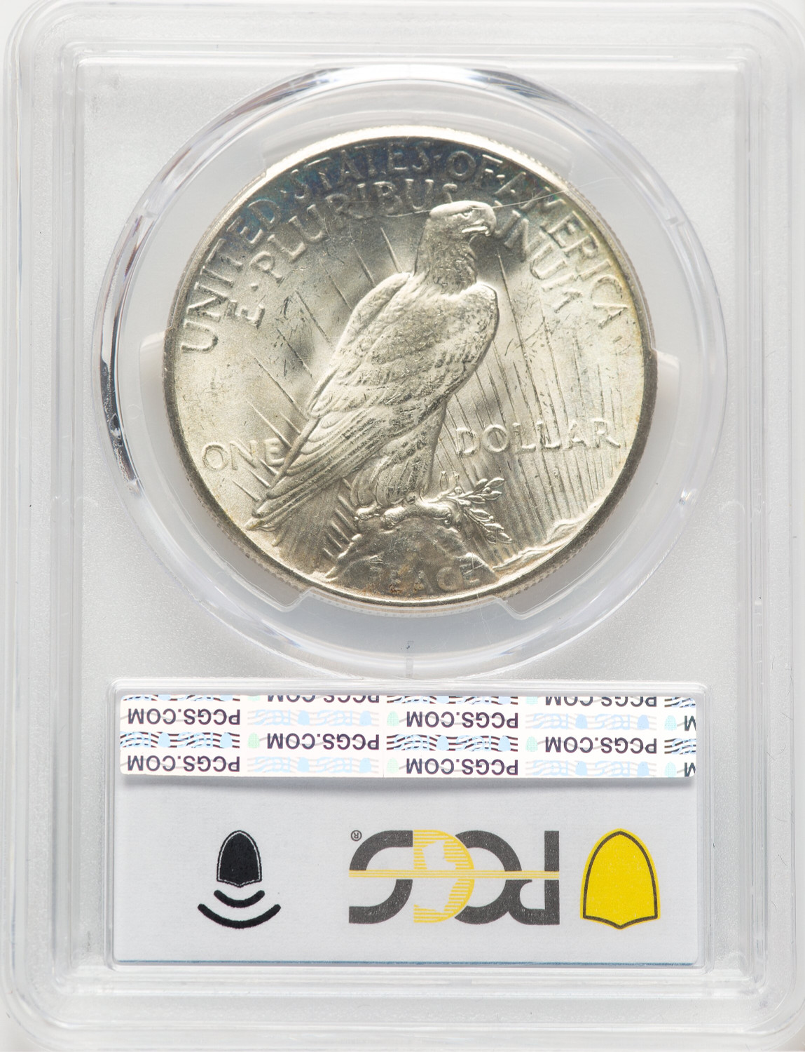 1928 CAC Peace Dollar PCGS MS65. Second image.