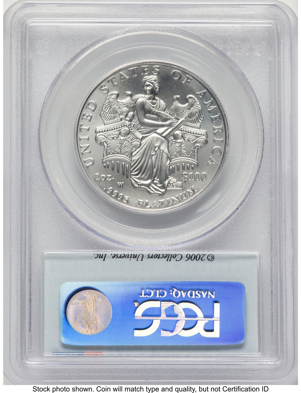 2006-W Burnished Platinum Eagle 1 oz 10th Anniversary Label PCGS