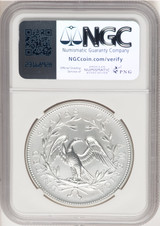 2024-(P) Silver 230th Anniversary Flowing Hair Medal NGC MS70