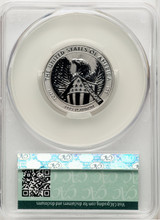 2007-W Reverse Proof Platinum Eagle 1/2 oz Non Designation CACG PR70