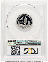 2001-W Proof Platinum Eagle 1/4 oz Blue Gradient PCGS PR70