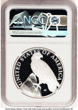 2023-P Silver American Liberty High Relief Medal FDI Mike Castle Medals and Tokens NGC MS70