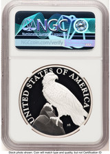 2023-P Silver American Liberty High Relief Medal Pittsburgh ANA Mike Castle Medals and Tokens NGC MS70