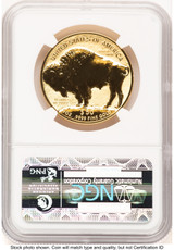 2013-W Reverse Proof Gold Buffalo 1 oz Chicago ANA Bison Label NGC PF70 (781316001)
