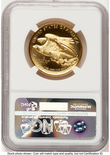 2015-W G$100 American Liberty High Relief ER Angela Buchanan NGC MS70