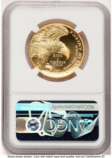 2019-W G$100 American Liberty High Relief Enhanced Mike Castle NGC MS70