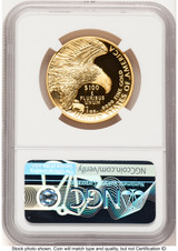 2019-W G$100 American Liberty High Relief Enhanced UC FDI Mike Castle NGC MS70 (782020010)