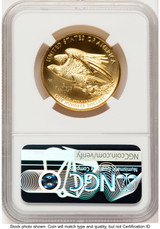 2015-W G$100 American Liberty High Relief Red Book NGC MS70 (771924031)