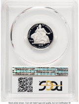 2004-W Proof Platinum Eagle 1/4 oz Blue Gradient PCGS PR70 2004-W Proof Platinum Eagle 1/4 oz Blue Gradient PCGS PR70