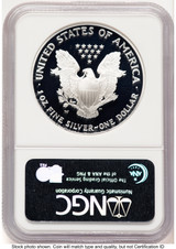 2006-W Proof Silver Eagle 1 oz Brown Label NGC PF70