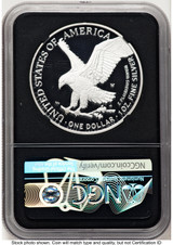 2021-W TY2 Proof Silver Eagle 1 oz FDI Michael Gaudioso NGC PF70