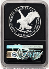 2021-W TY2 Proof Silver Eagle 1 oz FDI Michael Gaudioso Eagle Flag NGC PF70