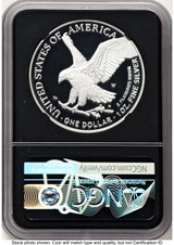 2023-W Proof Silver Eagle 1 oz FDI Michael Gaudioso NGC PF70