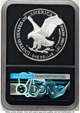 2021-S TY2 Proof Silver Eagle 1 oz FDI John NGC PF70 Mercanti