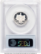 2006-W Proof Platinum Eagle 1/4 oz Blue Label PCGS PR70 (781206029)