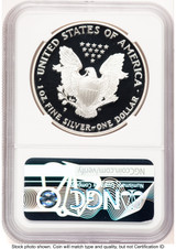 1995-P Proof Silver Eagle 1 oz Mike Castle NGC PF70