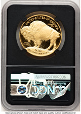 2022-W Proof Gold Buffalo 1 oz AR Anna Cabral NGC PF70