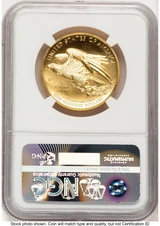 2015-W G$100 American Liberty High Relief ER 2015 HR Label NGC MS70