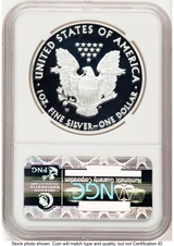 2013-W Proof Silver Eagle 1 oz FR Eagle Label NGC PF70