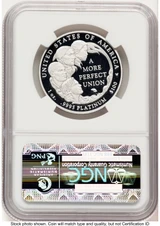 2009-W Proof Platinum Eagle 1 oz Brown Label NGC PF70