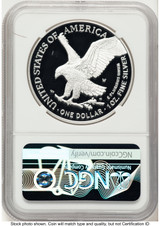 2025-W Proof Silver Eagle Privy Laser Engraved 1 oz FDI 1ST NGC PF70