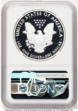2021-W TY1 Proof Silver Eagle 1 oz NGC PF70 Ed Moy