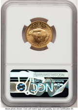 2021-W TY2 Gold Eagle 1/4 oz Unfinished Proof Dies Jennie Eagle Flag NGC PF69 Norris