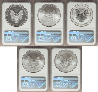 2011 Silver Eagle 25th Anniversary 5-pc Set NGC 70 Castle Signed