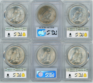 1921-1935 Peace Dollar PCGS Mint State 24 Coin Set