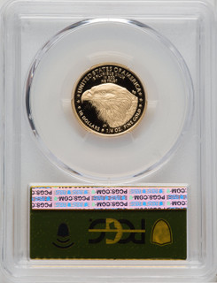 2023-W G$10 Quarter Ounce Gold Eagle First Day of Issue Gold Foil PCGS PR70