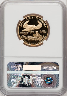 1991-P $25 Half-Ounce Gold Eagle Mike Castle NGC PF70