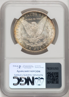 1884-CC Morgan Dollar NGC MS67 (771393002)