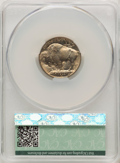 1913-D Type One 5C Buffalo Nickel CACG MS67