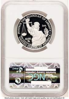 2010-W Proof Platinum Eagle 1 oz Brown Label NGC PF70 (522240063)