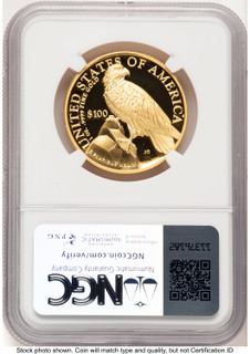 2023-W G$100 American Liberty High Relief Bunting Flag NGC PF70 (782066001)