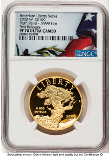 2023-W G$100 American Liberty High Relief FR Bunting Flag NGC PF70