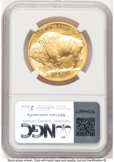 2008-W Burnished Gold Buffalo 1 oz Jeff Garrett Red Book NGC MS70 (772780003)