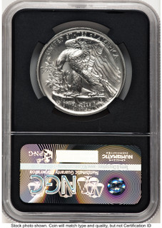 2017 Palladium Eagle 1 oz FDI 225th Anniversary Label NGC MS70 (783269003)