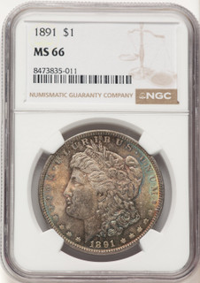 1891 Morgan Dollar NGC MS66