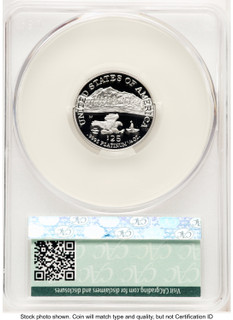 2002-W Proof Platinum Eagle 1/4 oz Non Designation CACG PR70