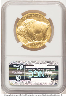 2008-W Burnished Gold Buffalo 1 oz Brown Label NGC MS70 (781134007)