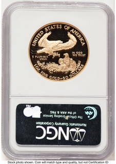 1994-W Proof Gold Eagle 1 oz Brown Label NGC PF70 (522240332)