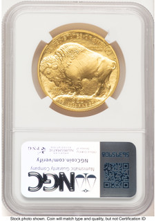 2008-W Burnished Gold Buffalo 1 oz Red Book NGC MS70